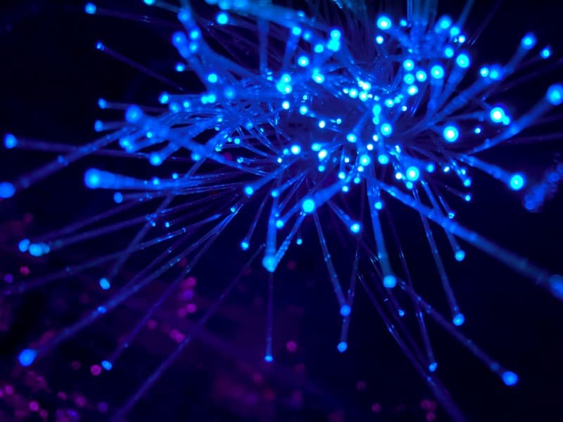 Propose A Novel Approach In The Maintenance Of Quality Service In Case Of Network Link Failure