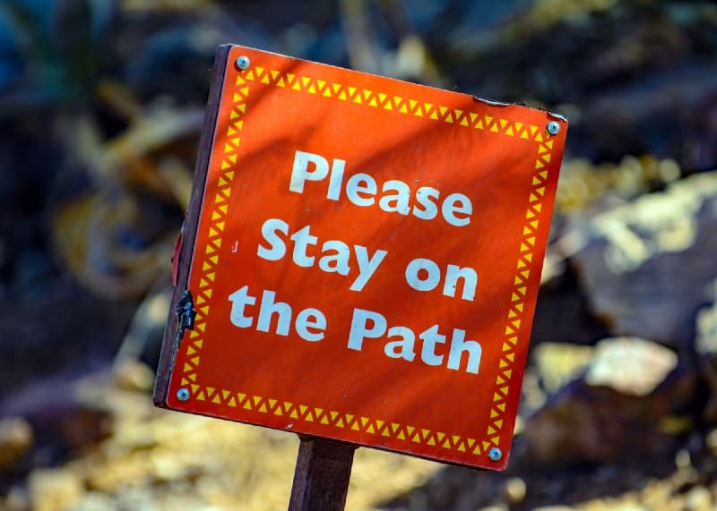 Terms and conditions in the software